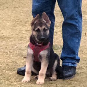 Meet your Posher, Margaret